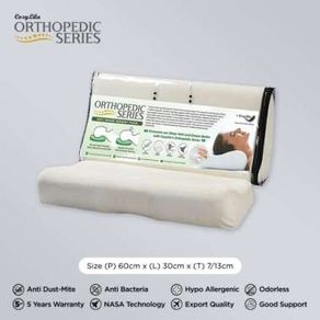 Pillow Orthopedic Anti Snore Memory Foam